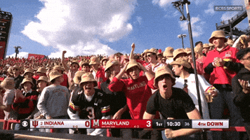 Terps Football Cheer GIF by Maryland Terrapins