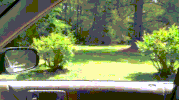 wait mee GIF