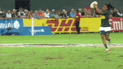 Avoid South Africa GIF by World Rugby