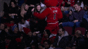 benny the bull bulls mascot GIF by Chicago Bulls