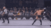 ÄEw Trent GIF by All Elite Wrestling on TNT