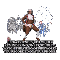 Independence Day Fireworks Sticker