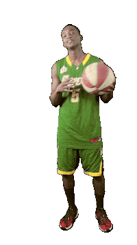 Basketball Turning Sticker by ACSL - Austrian College Sports League