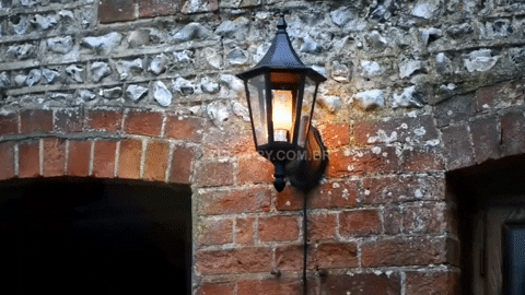 marcelocorra354f giphyupload GIF