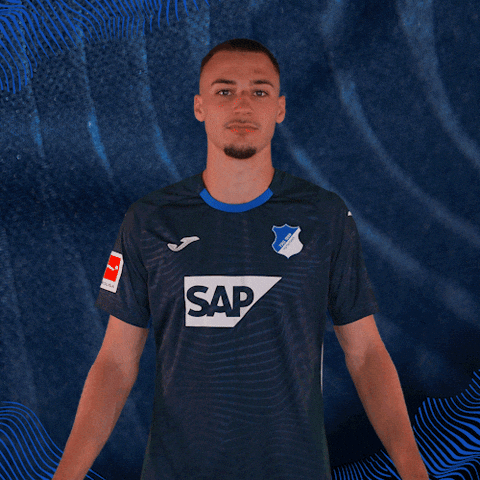 Sport Bundesliga GIF by TSG Hoffenheim