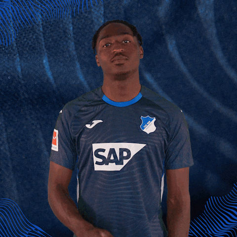Sport Bundesliga GIF by TSG Hoffenheim