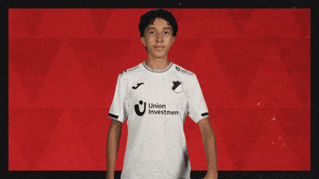 Tsg Hoffenheim Football GIF by Bundesliga