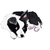 Goji Sticker