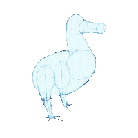 Dodo Sticker by domin_wro