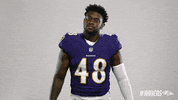 Charm City Smh GIF by Baltimore Ravens