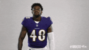 Charm City Football GIF by Baltimore Ravens
