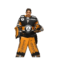 Hockey Fuessen Sticker by EV Füssen