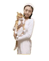 Cat I Dont Know Sticker