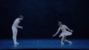 Nutcracker GIF by English National Ballet