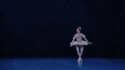 Nutcracker GIF by English National Ballet