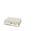 ApfelRaeuberCider drink cheers festival sommer Sticker