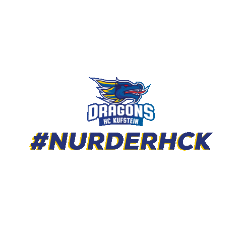 hckufstein giphyupload hockey dragons eishockey Sticker