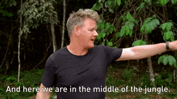 We Are In The Jungle