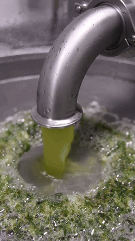 borovision giphyupload plates industries lowtemp GIF