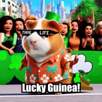 St Patricks Day Parade GIF by Guinea Gambino
