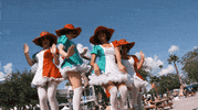 insomniacevents italian edc insomniac daytime GIF