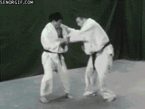 martial arts win GIF by Cheezburger