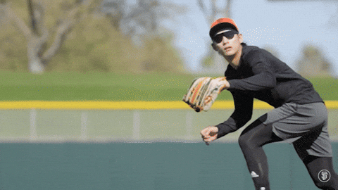 Giants Baseball GIF by San Francisco Giants