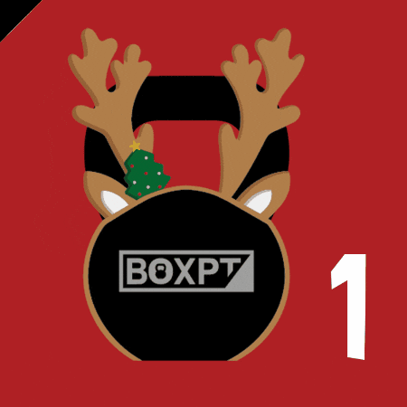 boxpt_equipment giphygifmaker boxptnatal boxpt1 GIF