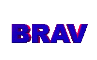 logo brav Sticker by Bravworld