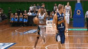 utah jazz nba GIF