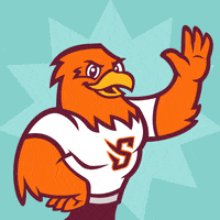 susquehannau happy hello hi college GIF