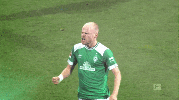 celebrate davy klaassen GIF by SV Werder Bremen