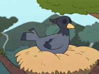 Bird Tree GIF