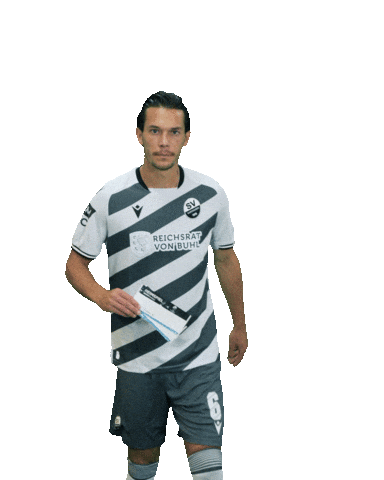 3Liga Sticker by SV Sandhausen