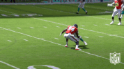 football nfl 2018 GIF by NFL