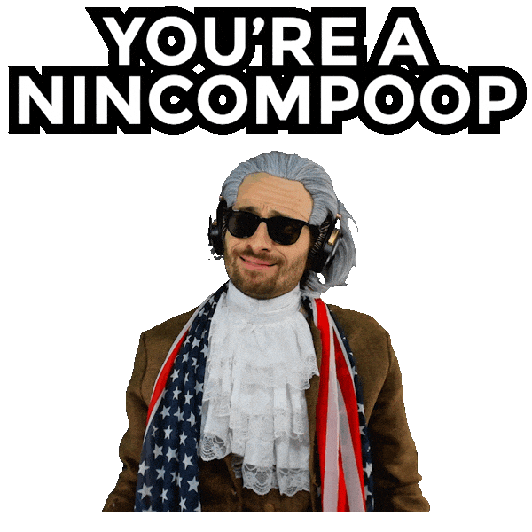 Idiot Insulting Sticker