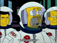 homer simpson GIF