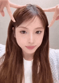 Cat Kitty GIF