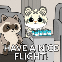 Travel GIF by Ordinary Frends