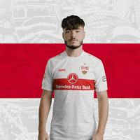 Number 25 Football GIF by VfB Stuttgart