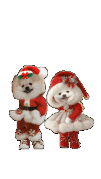 犬 Pom Sticker