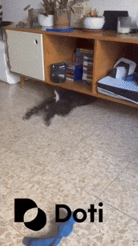 Happy Dog GIF by Doti.AI