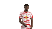 No Problem Football Sticker by RB Leipzig