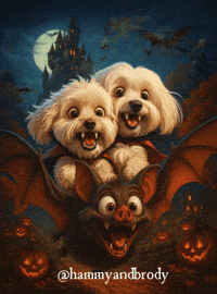 Dog Halloween GIF by HammyandBrody