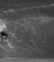 North Shore Surf GIF by FLORENCE