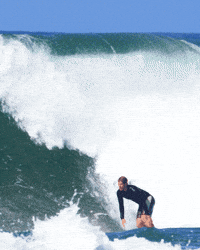North Shore Surf GIF by FLORENCE