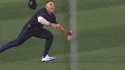 Blue Jays Sport GIF by MLB