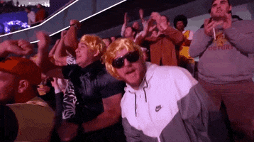 Sport GIF by UFC