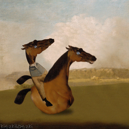 horse joy GIF by Kiszkiloszki