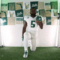 Ncaa Football GIF by USF Athletics